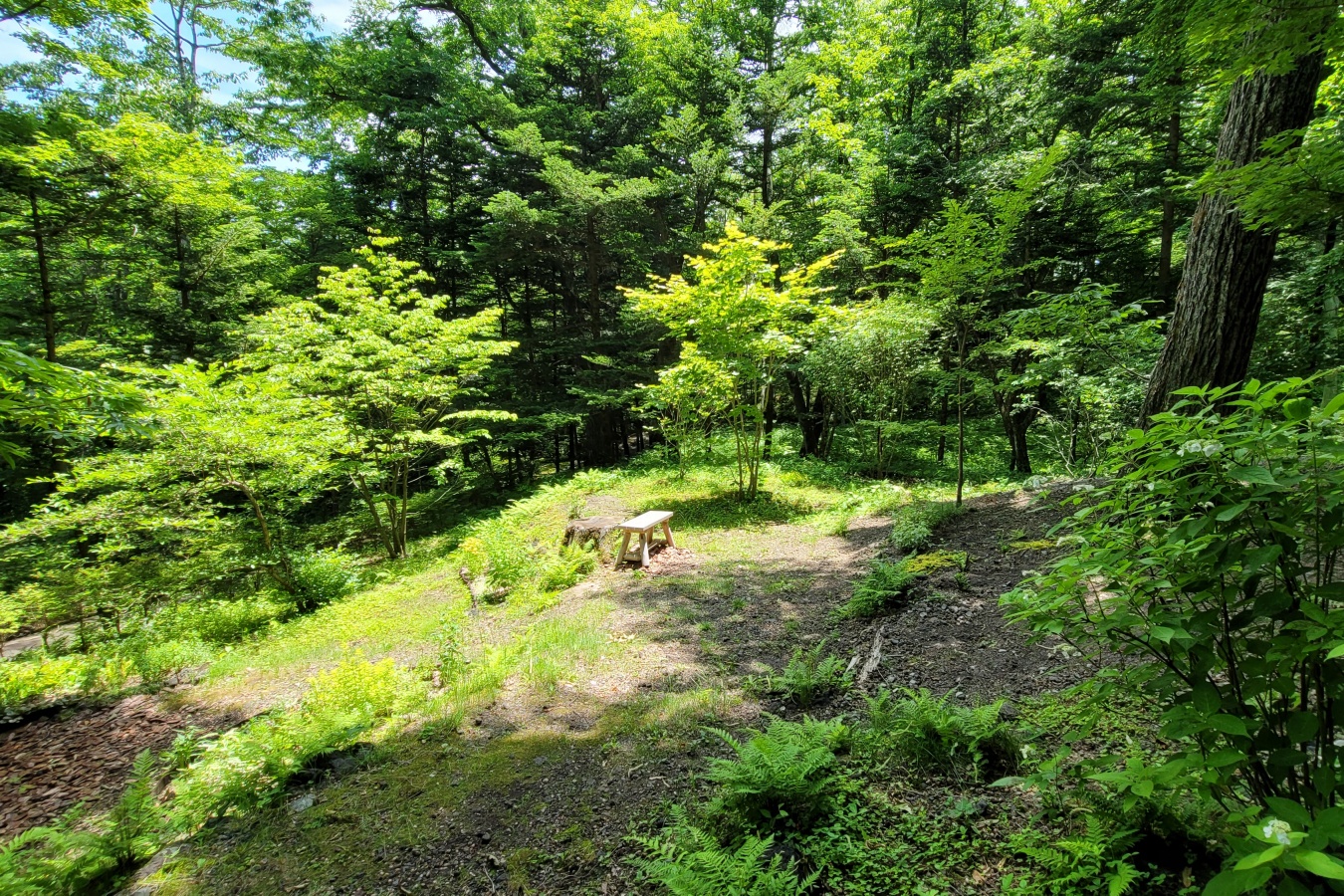 外構工事　【カーポート(小諸市)・アプローチ・植栽(軽井沢)】